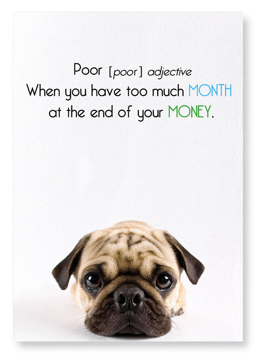 POOR AND TOO MUCH MONTH: Funny Animal Art Print