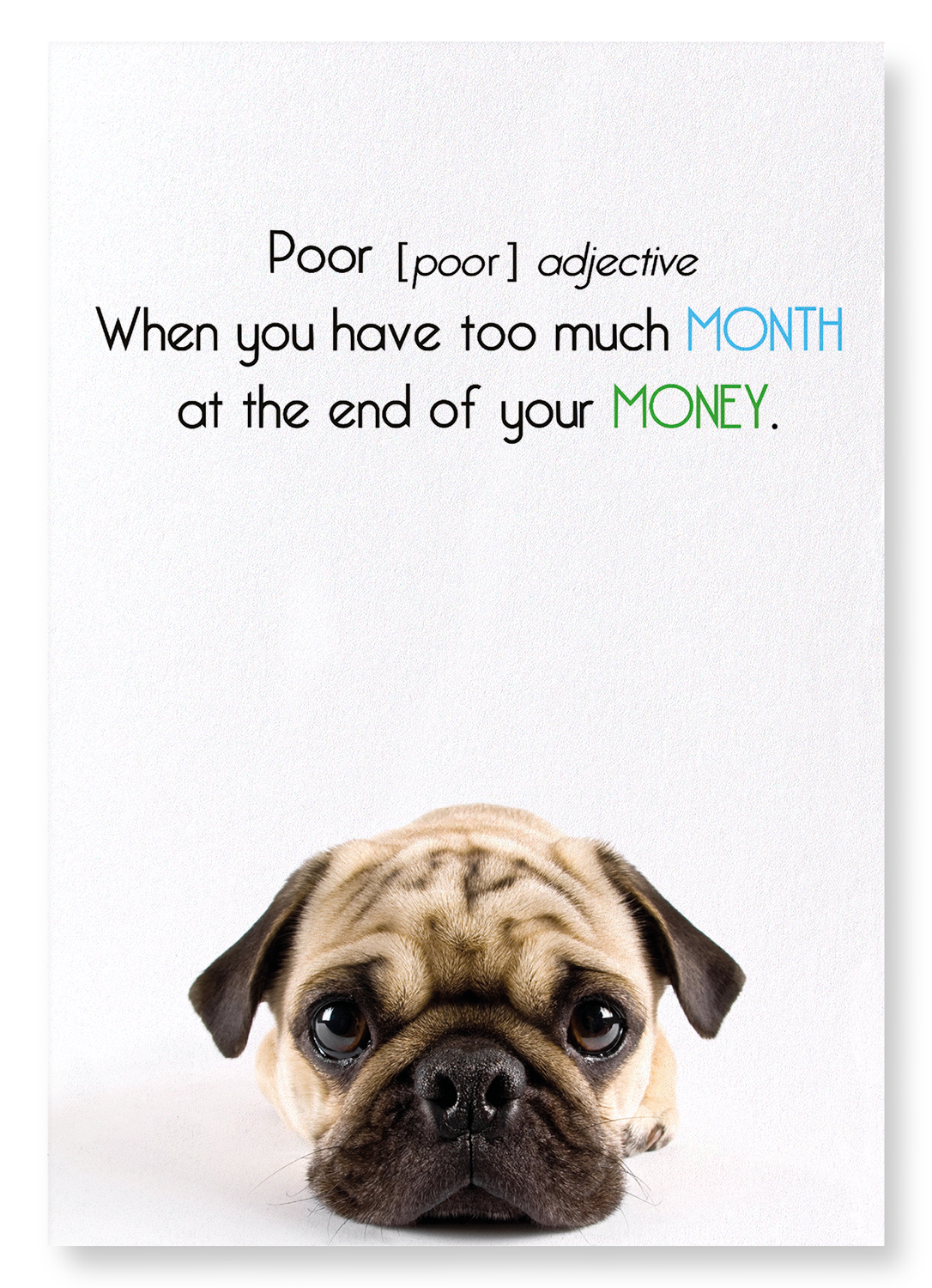 POOR AND TOO MUCH MONTH: Funny Animal Art print