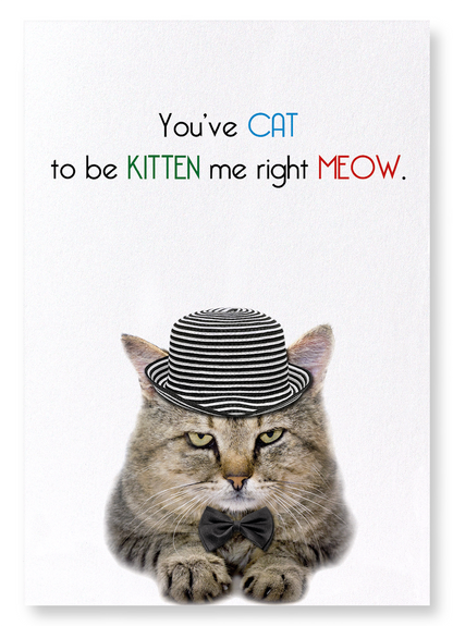 CAT TO BE KITTEN ME: Funny Animal Art Print