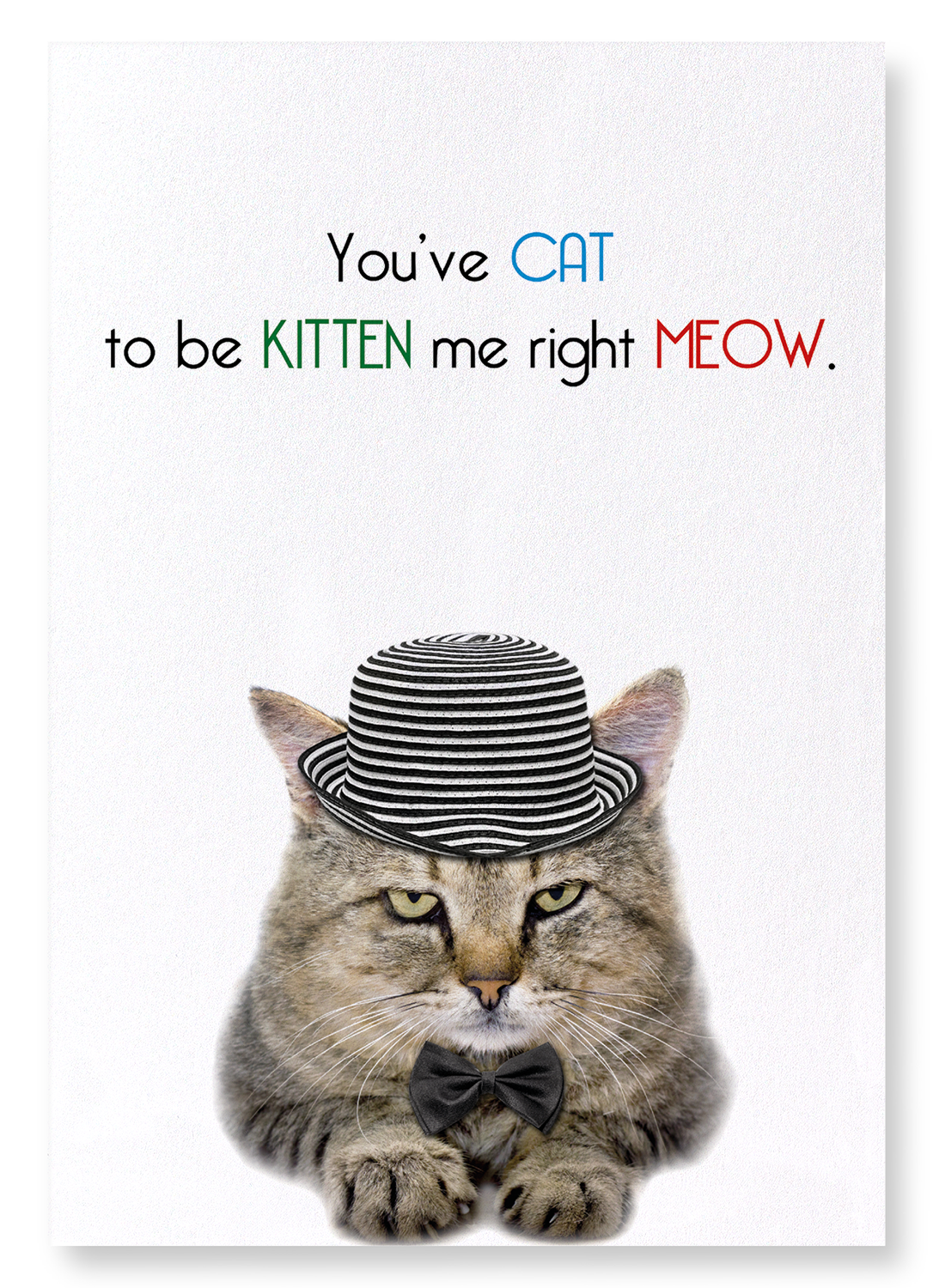 CAT TO BE KITTEN ME: Funny Animal Art print