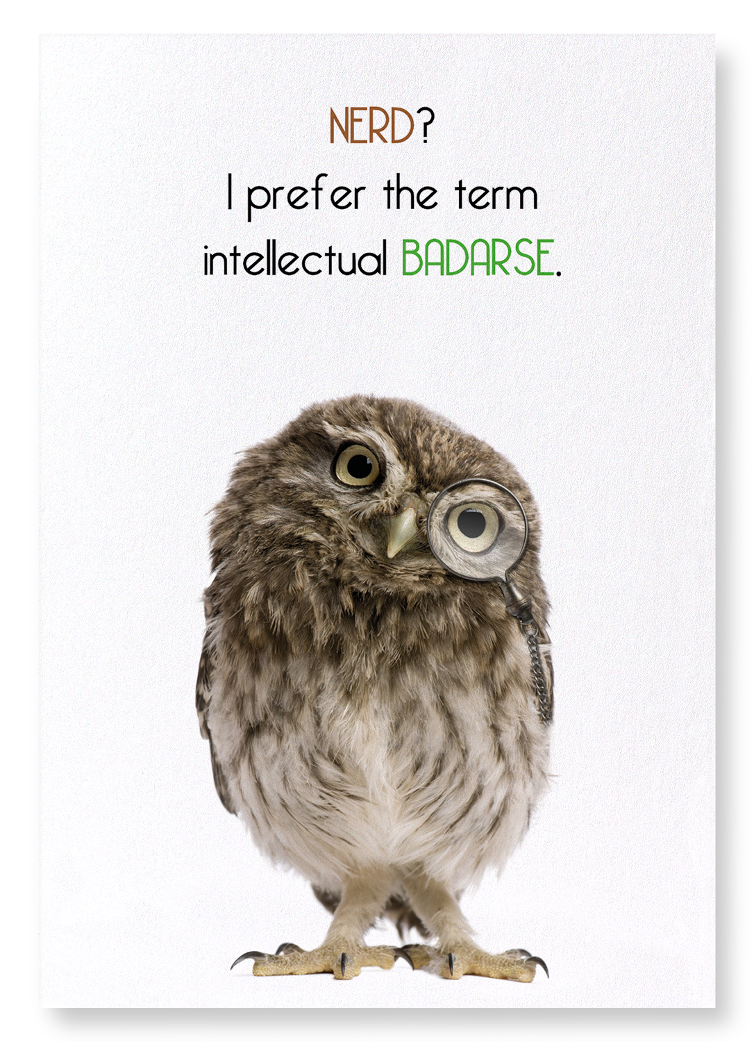 INTELLECTUAL BADARSE: Funny Animal Art Print