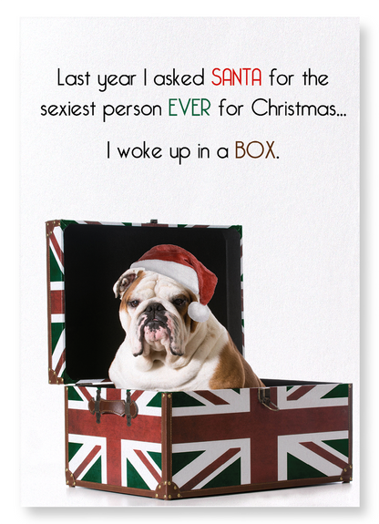 SEXIEST PERSON FOR XMAS: Funny Animal Art Print