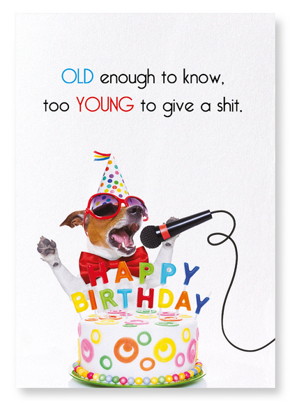 AGE OF PERFECTION: Funny Animal Art Print