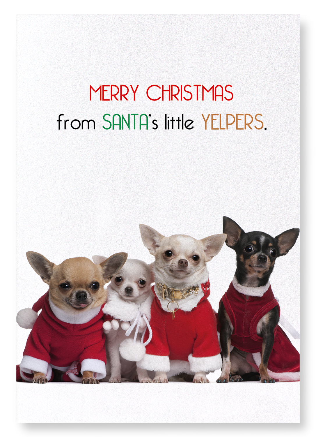 SANTA'S YELPERS: Funny Animal Art Print