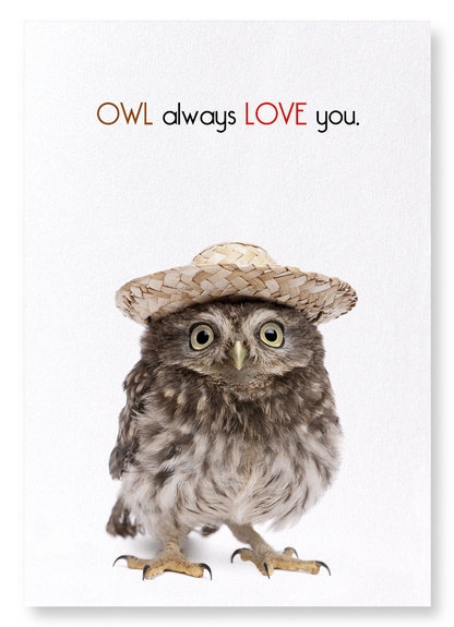 OWL ALWAYS LOVE YOU: Funny Animal Art Print