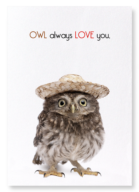 OWL ALWAYS LOVE YOU: Funny Animal Art Print
