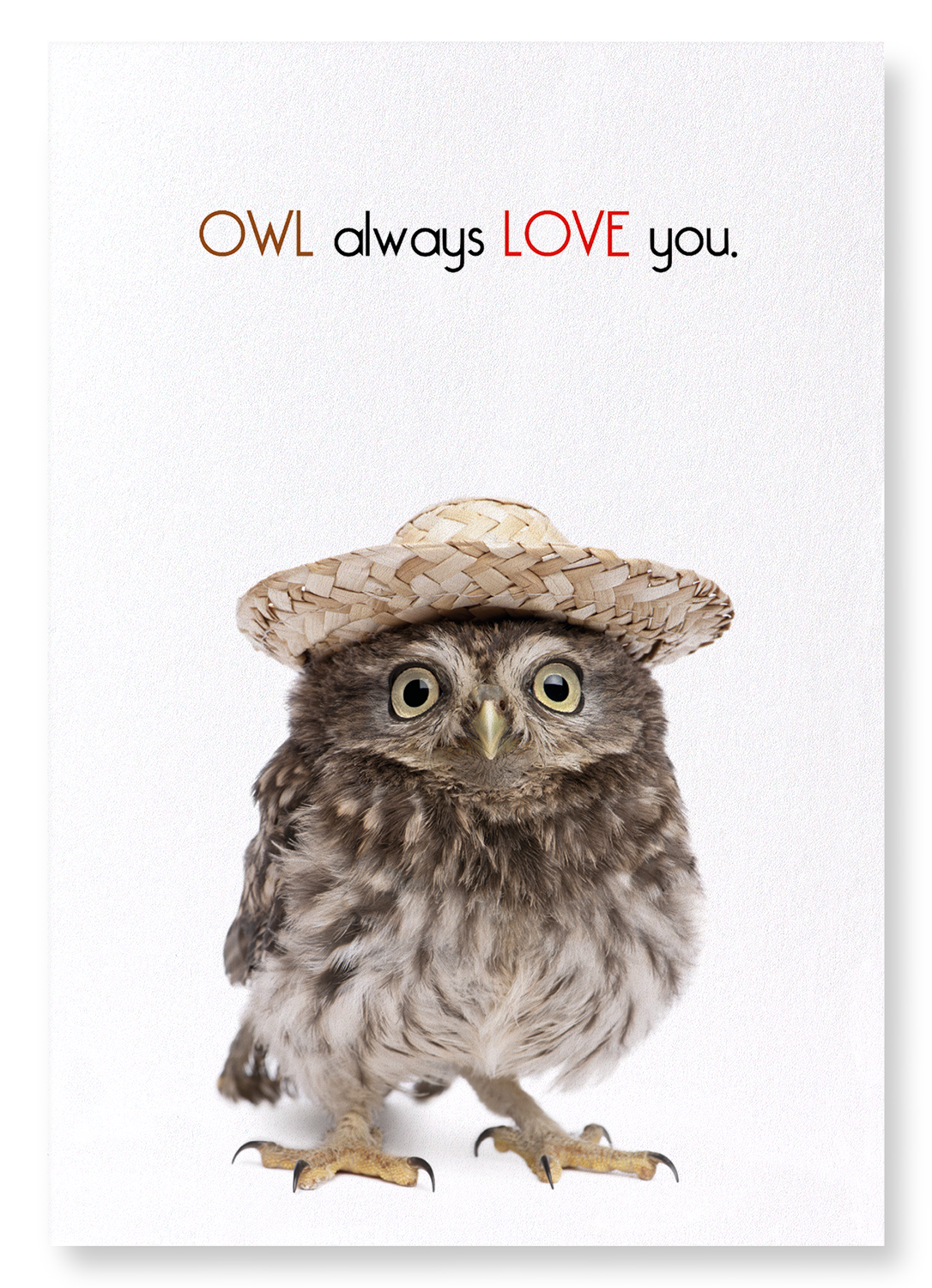 OWL ALWAYS LOVE YOU: Funny Animal Art print