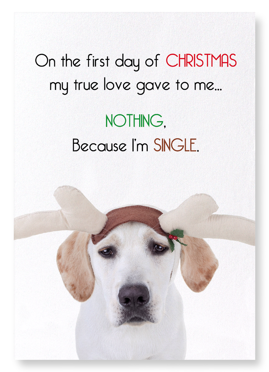 BECAUSE I'M SINGLE : Funny Animal Art Print
