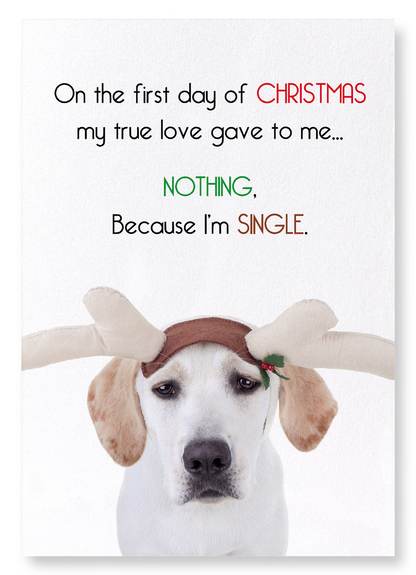 BECAUSE I'M SINGLE : Funny Animal Art Print