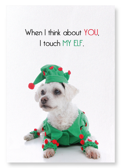 TOUCH MY ELF : Funny Animal Art Print