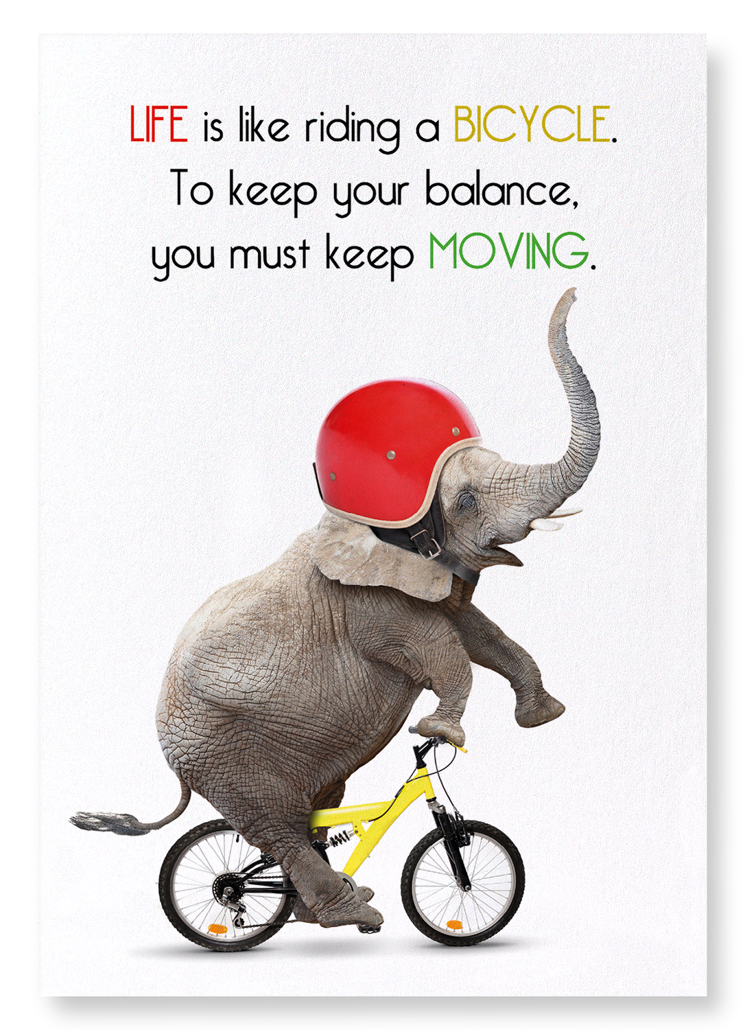 ELEPHANT AND BICYCLE: Funny Animal Art Print