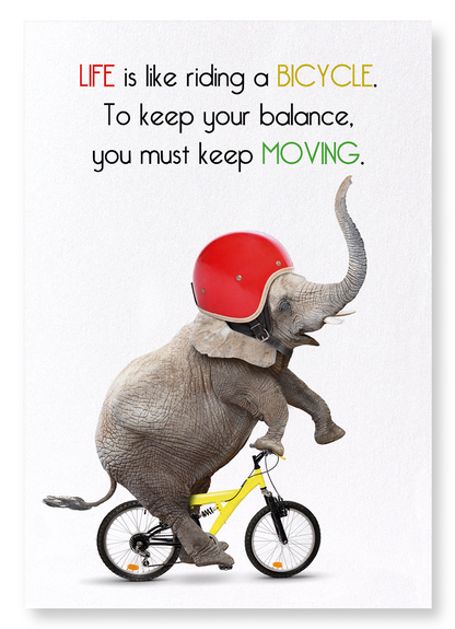ELEPHANT AND BICYCLE: Funny Animal Art Print