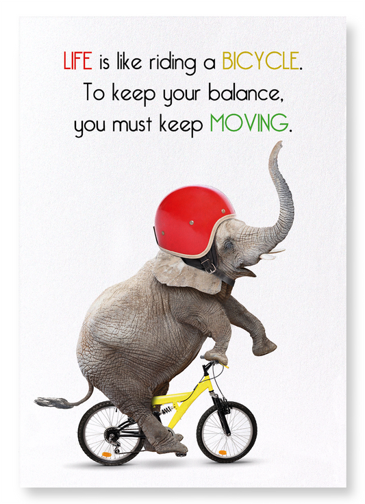 ELEPHANT AND BICYCLE: Funny Animal Art Print