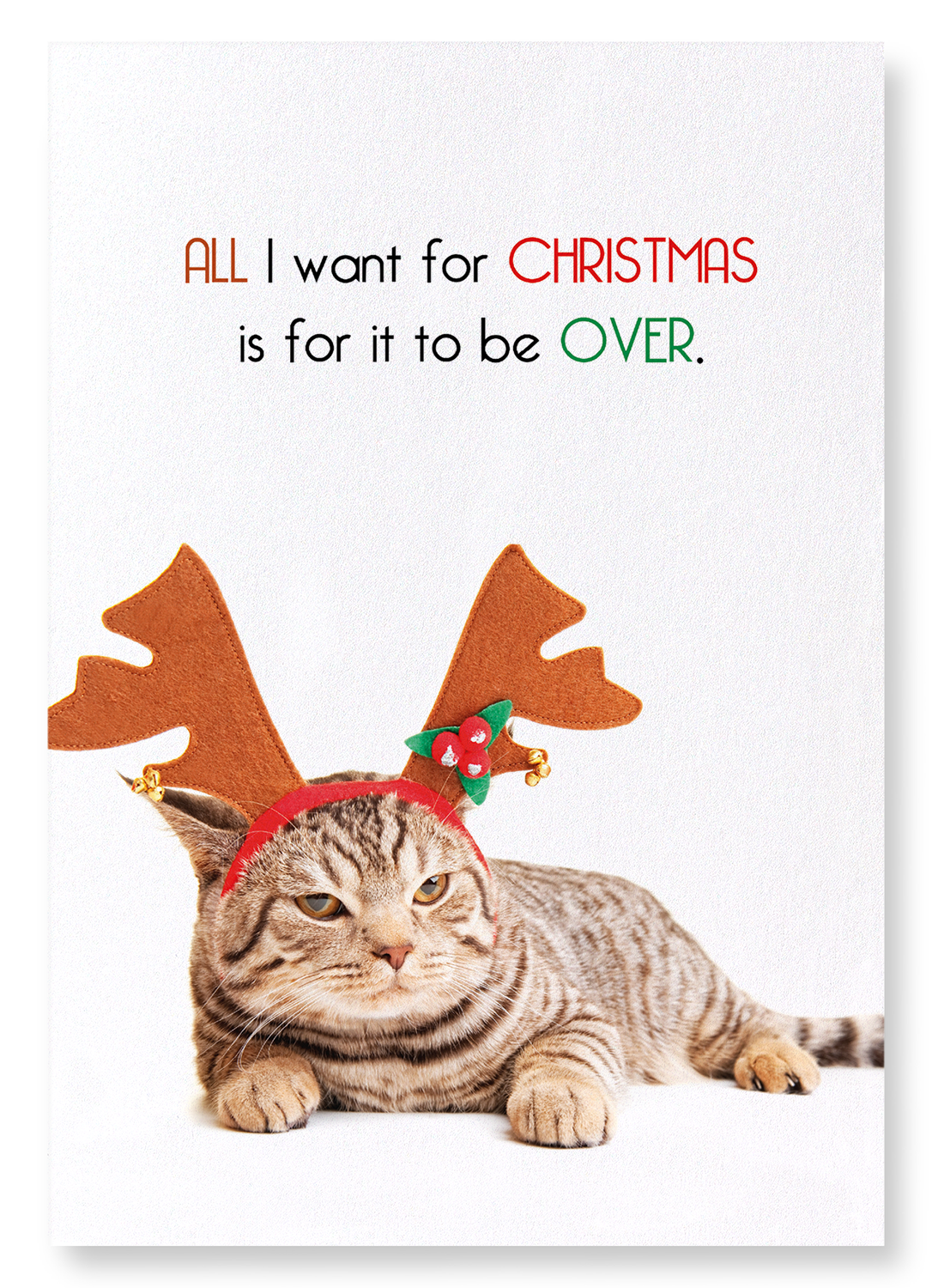 ALL I WANT FOR CHRISTMAS : Funny Animal Art print