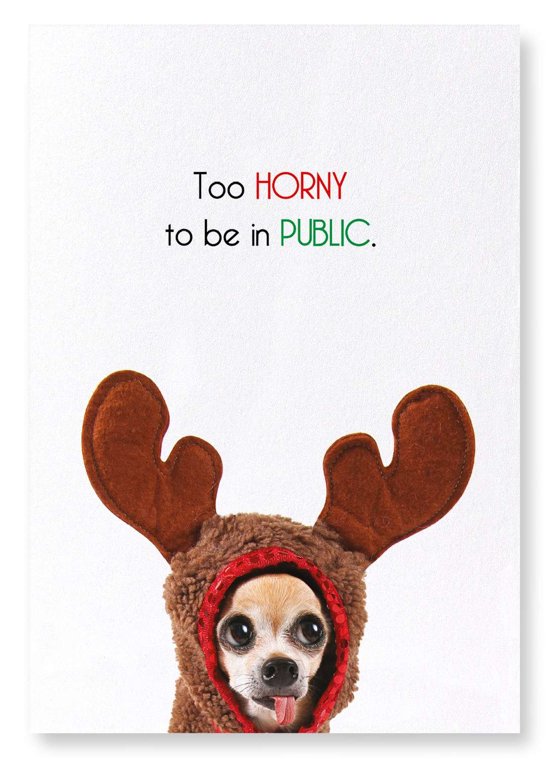 TOO HORNY TO BE IN PUBLIC: Funny Animal Art Print