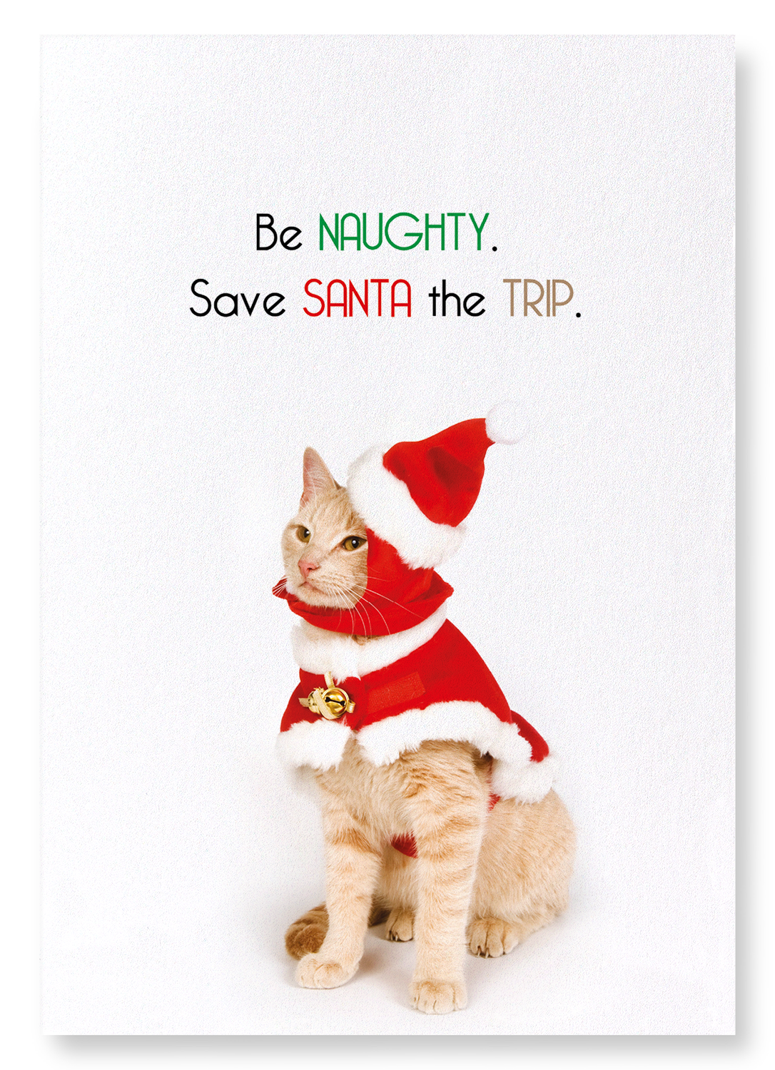 BE NAUGHTY: Funny Animal Art Print