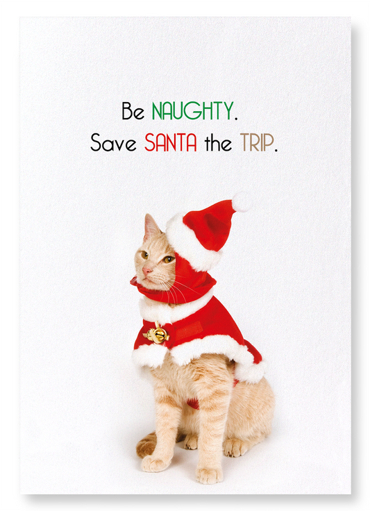 BE NAUGHTY: Funny Animal Art Print
