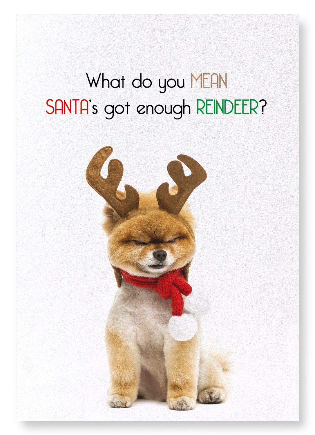 ENOUGH REINDEER : Funny Animal Art Print