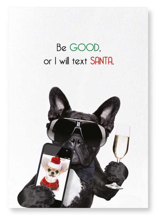 TEXT SANTA: Funny Animal Art Print