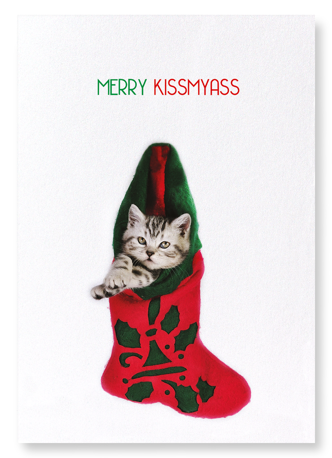 MERRY KISSMYASS: Funny Animal Art print