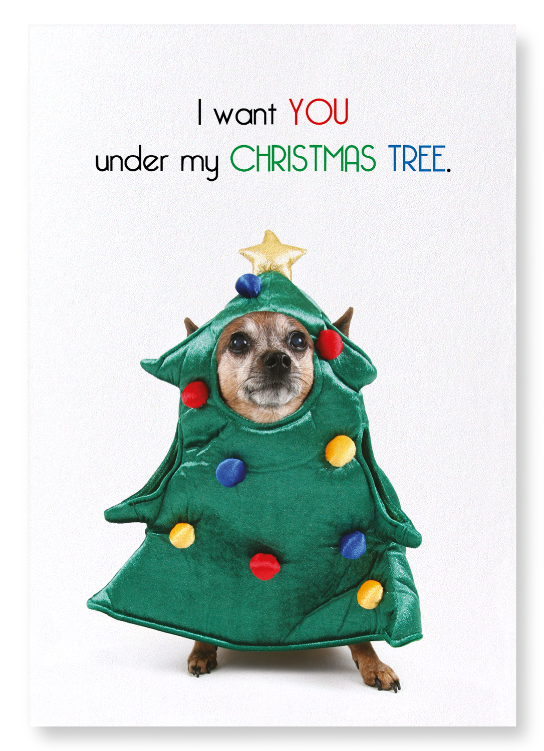 UNDER MY CHRISTMAS TREE: Funny Animal Art Print
