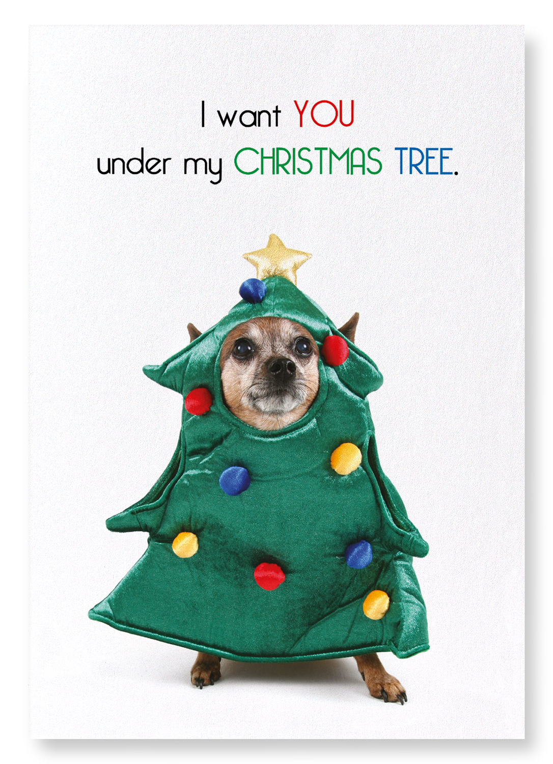 UNDER MY CHRISTMAS TREE: Funny Animal Art print