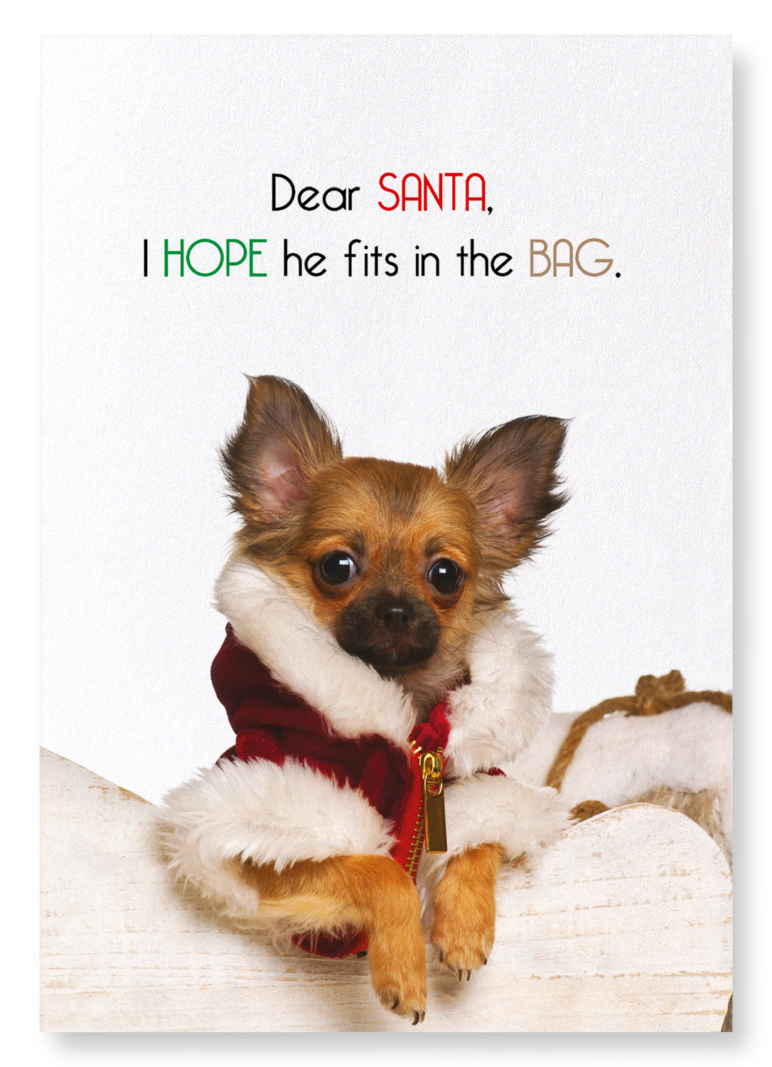 FIT IN SANTA'S BAG: Funny Animal Art Print