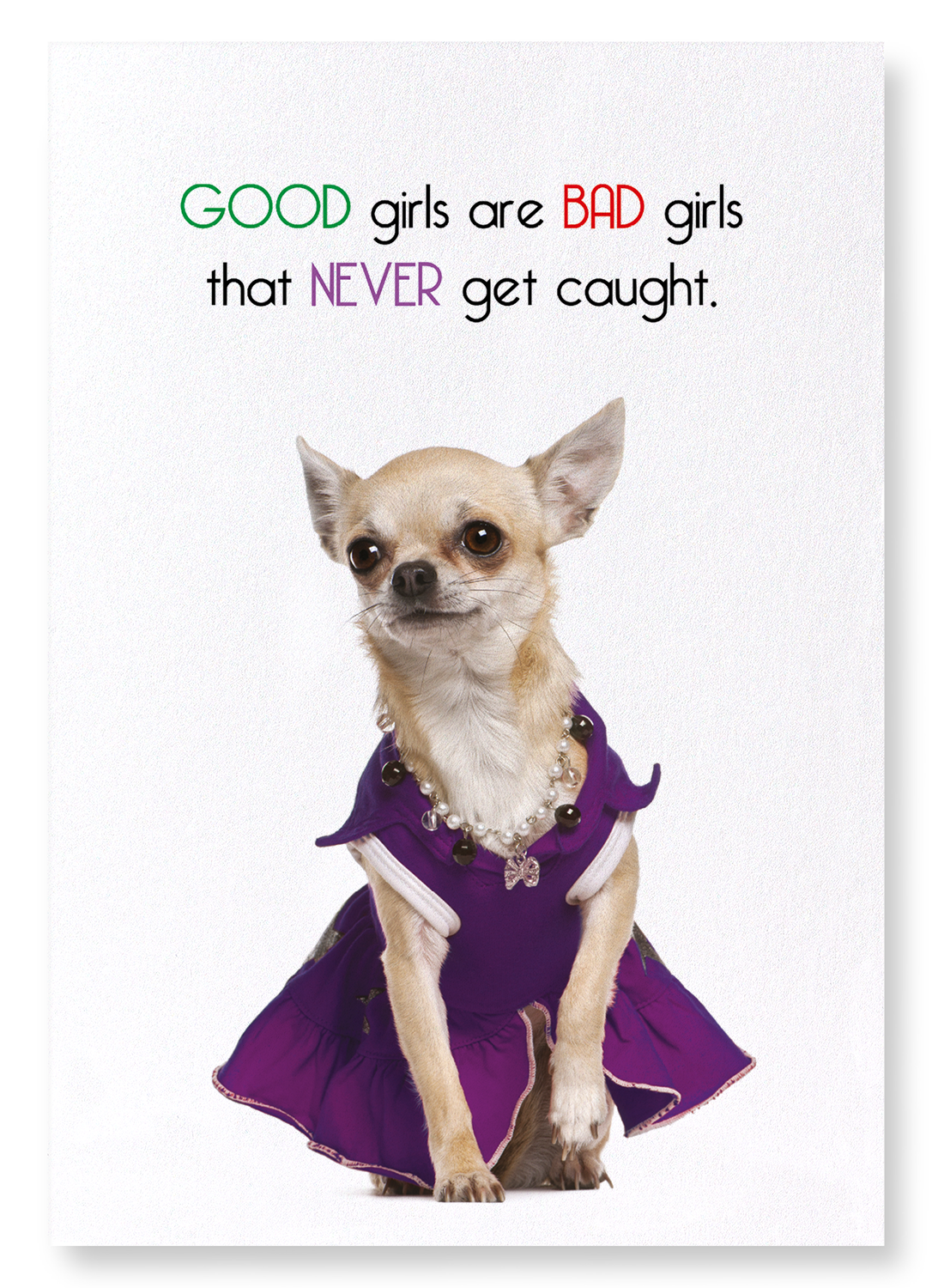 GOOD GIRLS NEVER GET CAUGHT: Funny Animal Art print