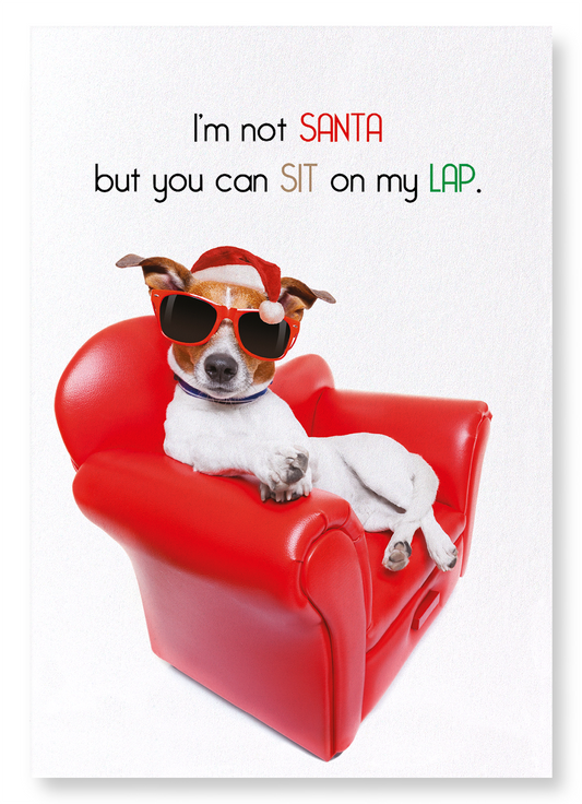SIT ON MY LAP: Funny Animal Art Print