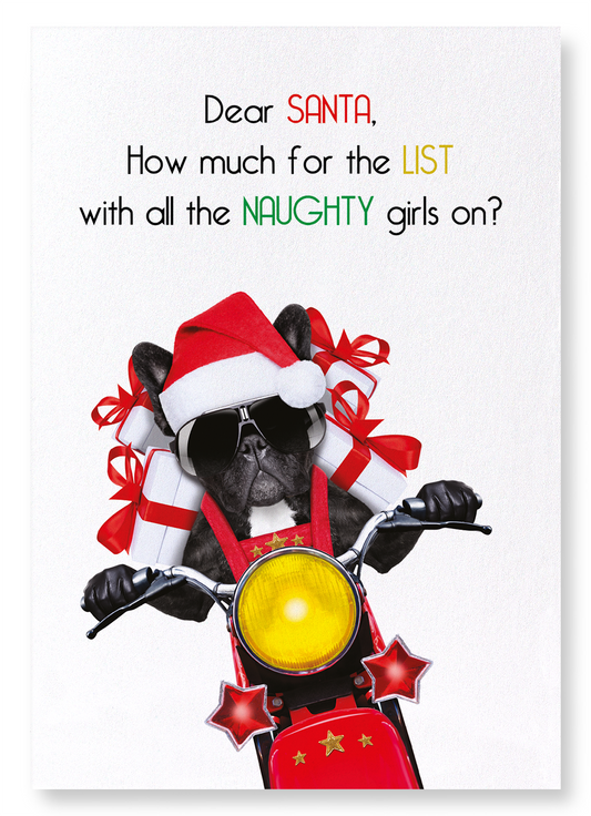 SANTA'S NAUGHTY LIST: Funny Animal Art Print