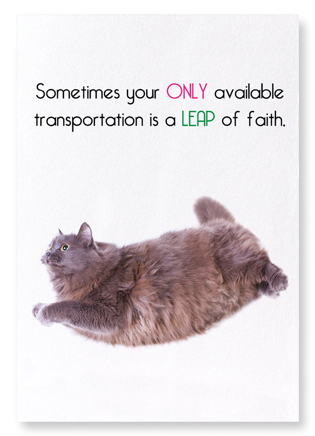 LEAP OF FAITH : Funny Animal Art Print
