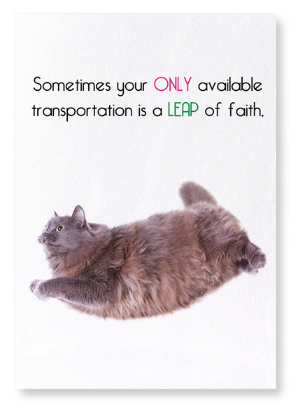 LEAP OF FAITH : Funny Animal Art Print