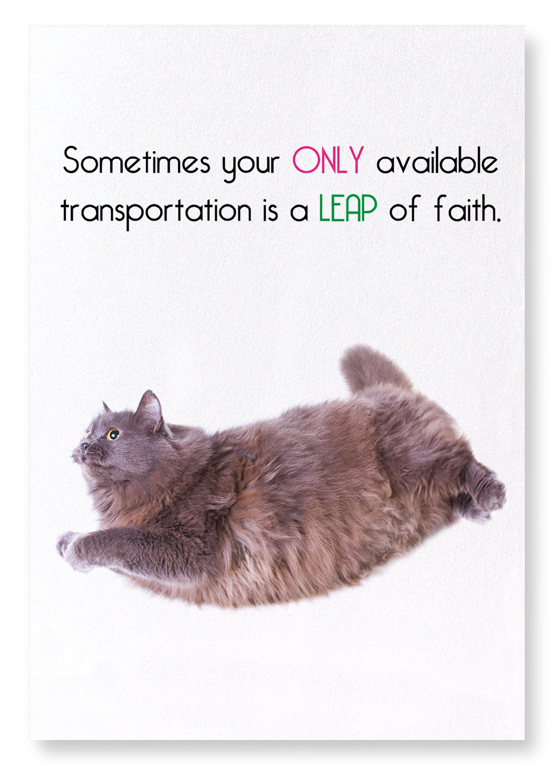 LEAP OF FAITH : Funny Animal Art print