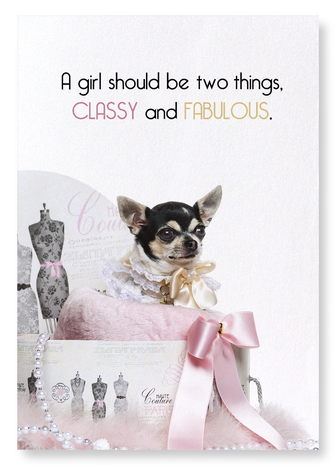 CLASSY AND FABULOUS DOG: Funny Animal Art Print