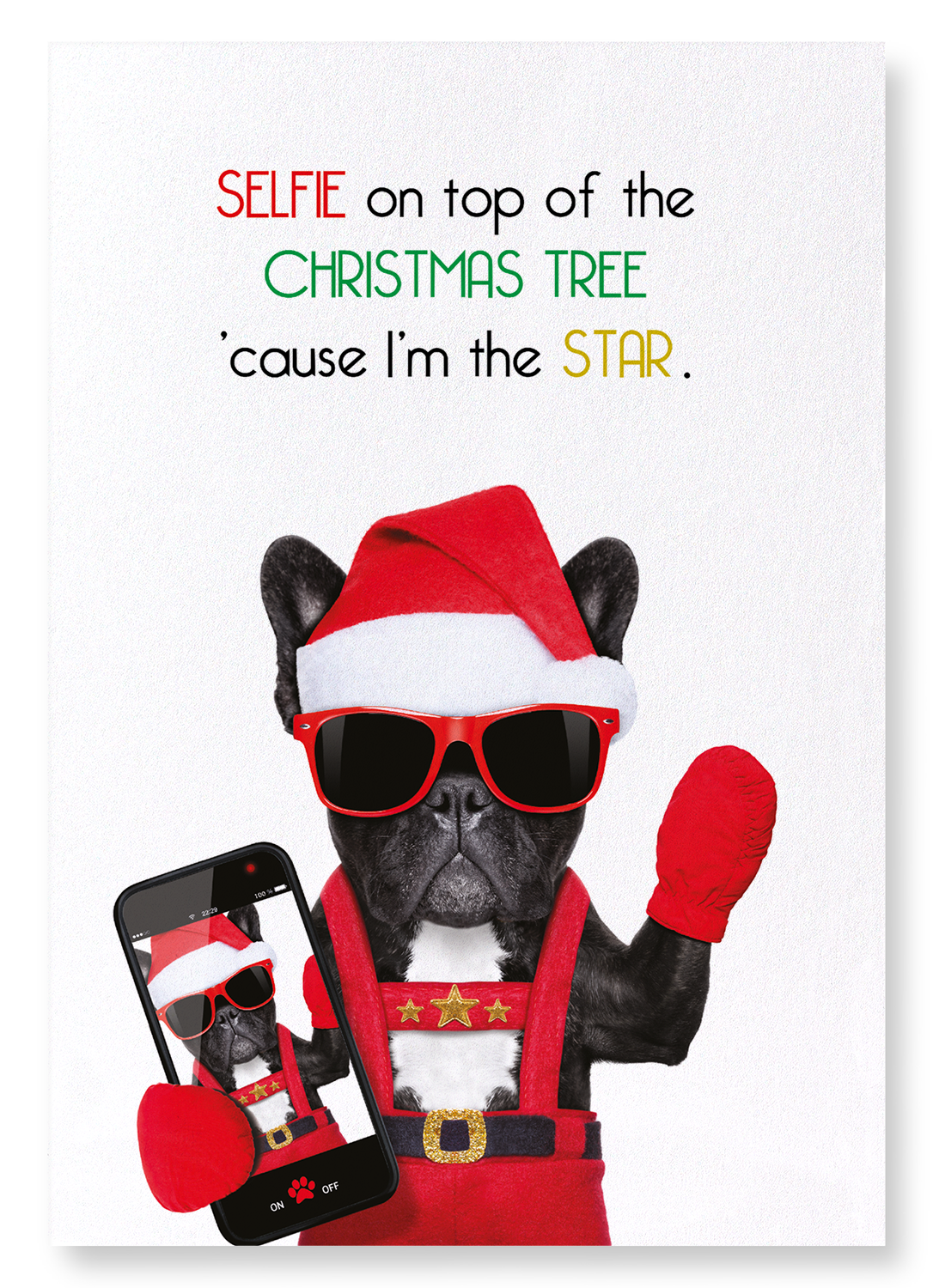 SELFIE ON CHRISTMAS TREE: Funny Animal Art Print
