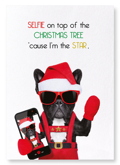 SELFIE ON CHRISTMAS TREE: Funny Animal Art Print