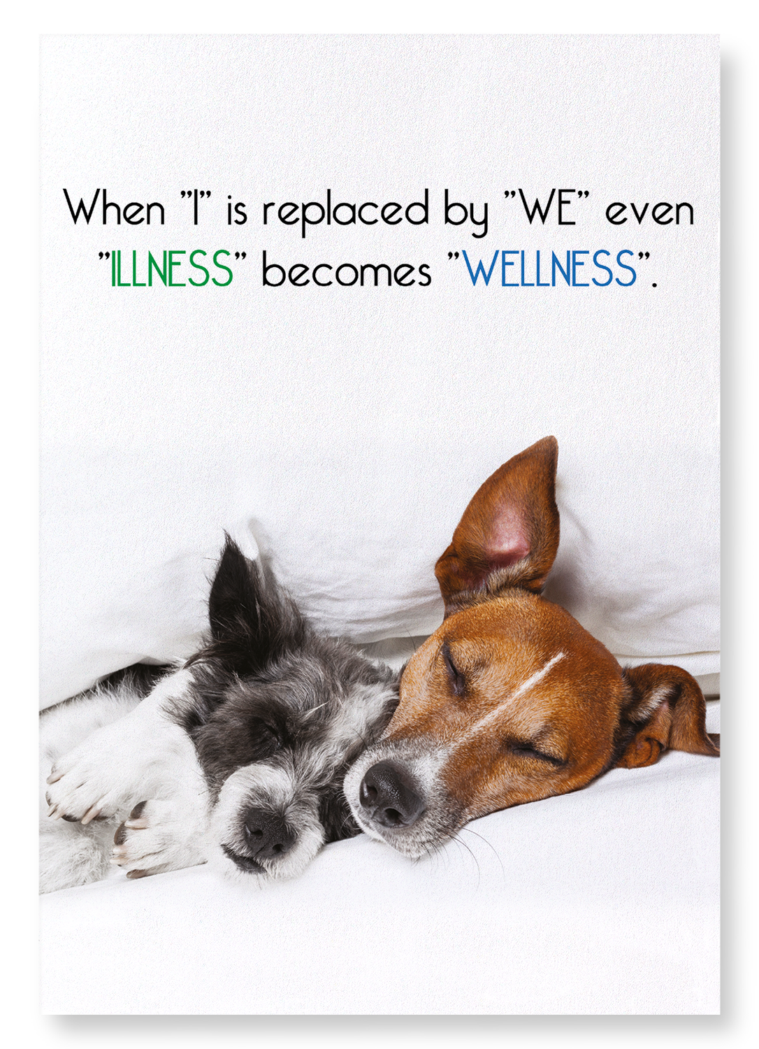 ILLNESS TO WELLNESS: Funny Animal Art Print