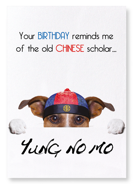 YUNG NO MO : Funny Animal Art Print