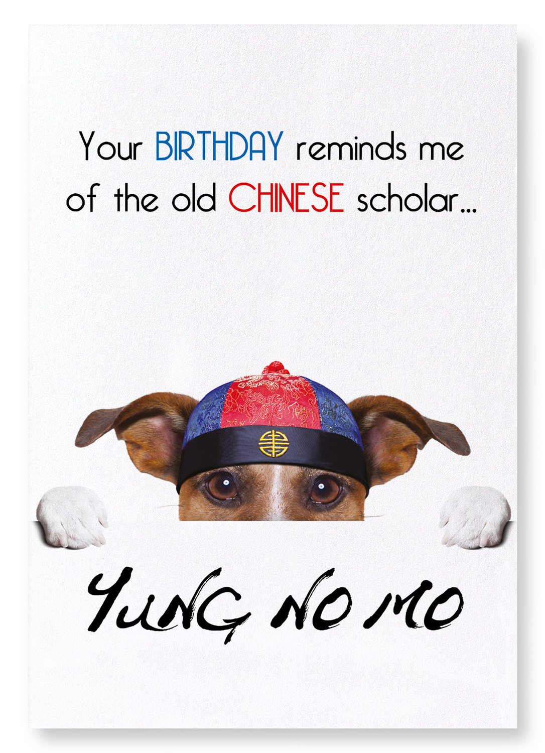 YUNG NO MO : Funny Animal Art print