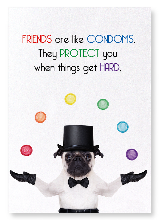 FRIENDS AND CONDOMS: Funny Animal Art Print