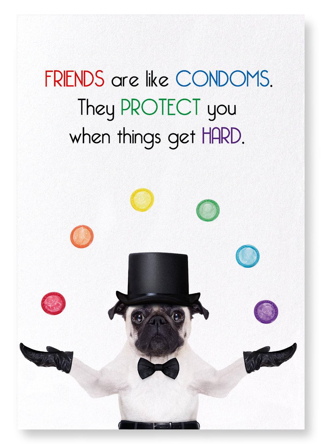 FRIENDS AND CONDOMS: Funny Animal Art print