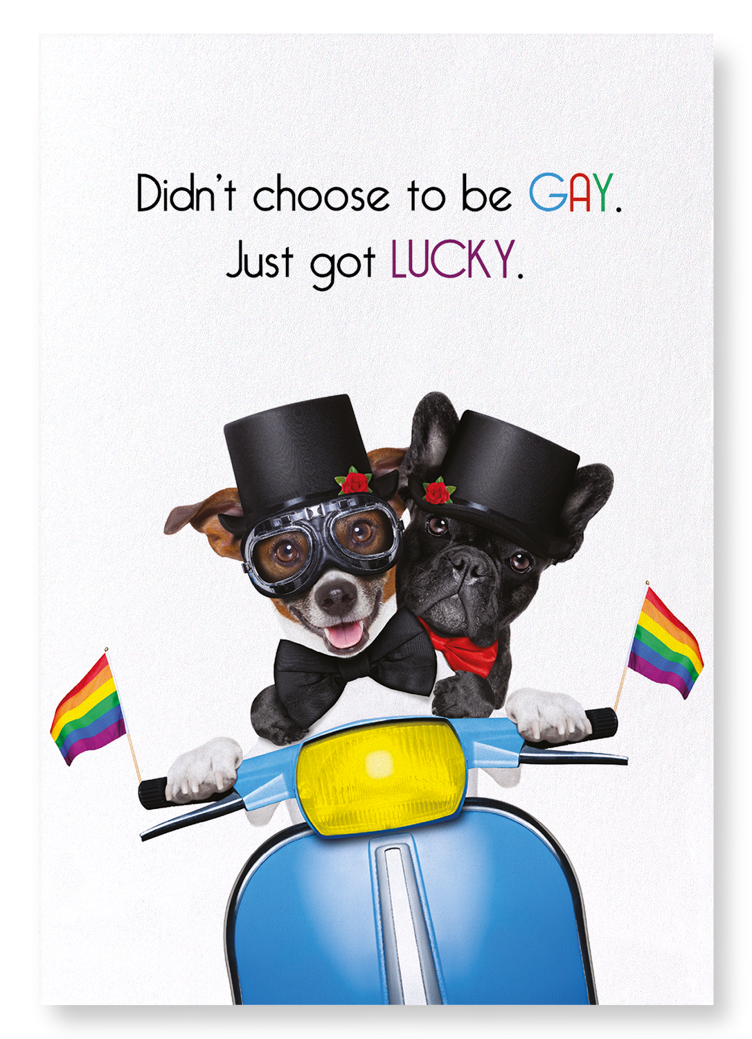 LUCKY AND GAY: Funny Animal Art Print
