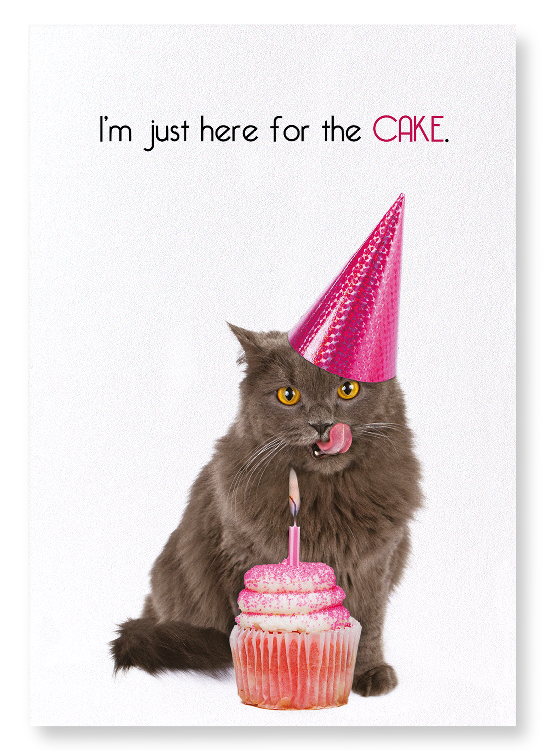 HERE FOR THE CAKE: Funny Animal Art print