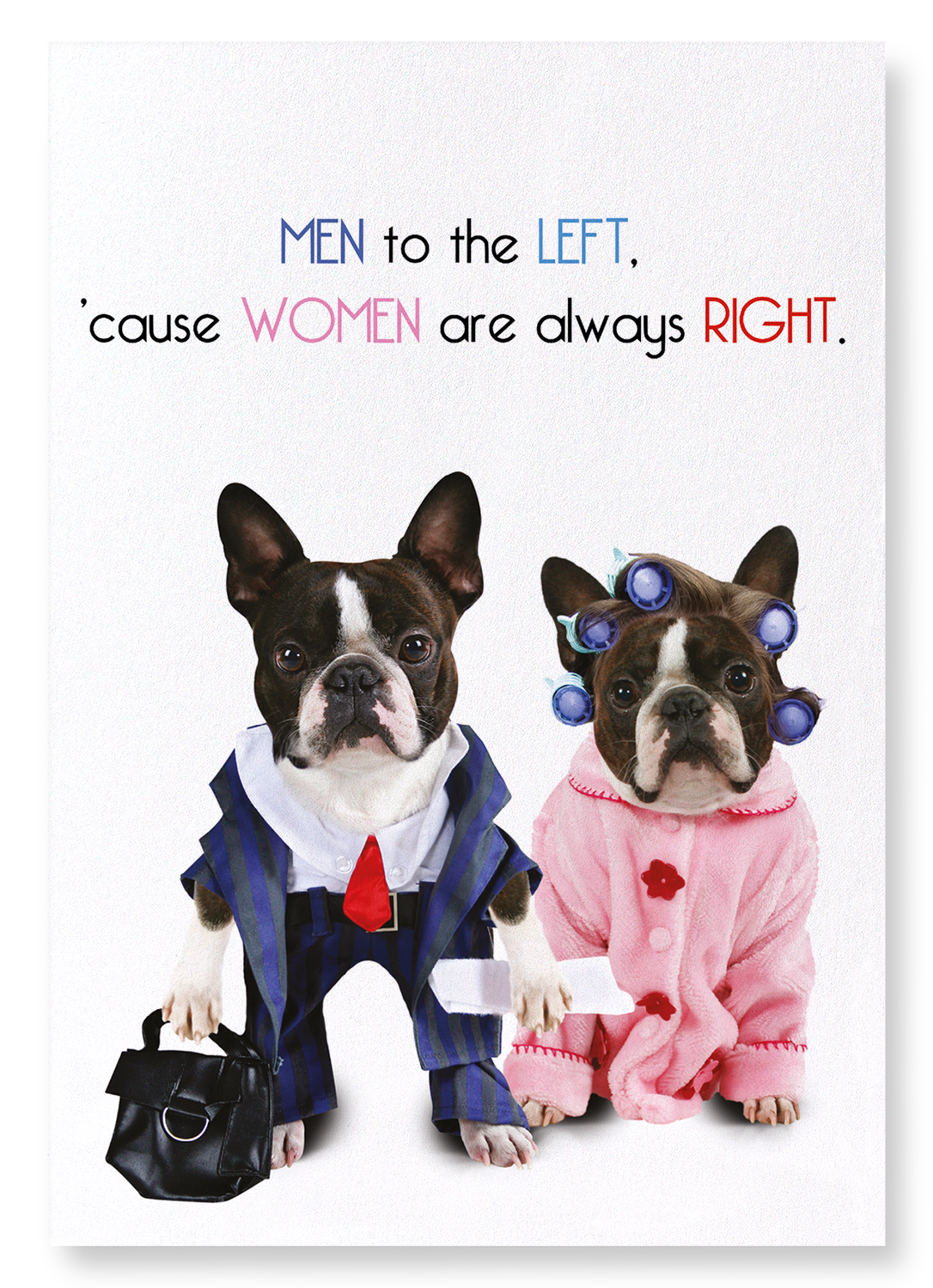 MEN TO THE LEFT: Funny Animal Art Print