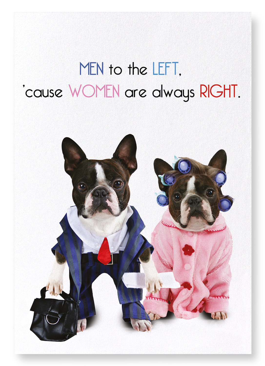 MEN TO THE LEFT: Funny Animal Art print