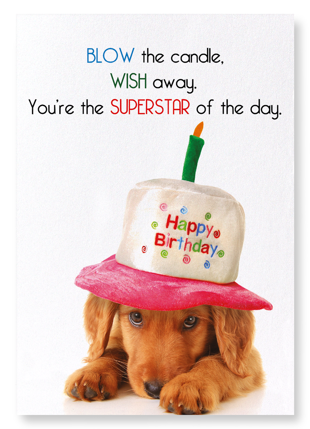 BLOW AND MAKE A WISH: Funny Animal Art Print