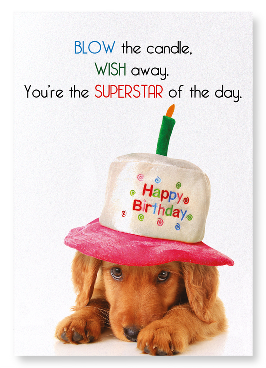 BLOW AND MAKE A WISH: Funny Animal Art Print