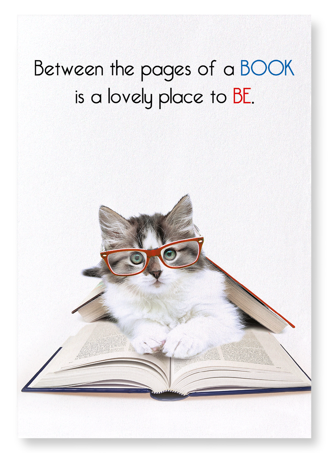 BETWEEN THE PAGES: Funny Animal Art Print