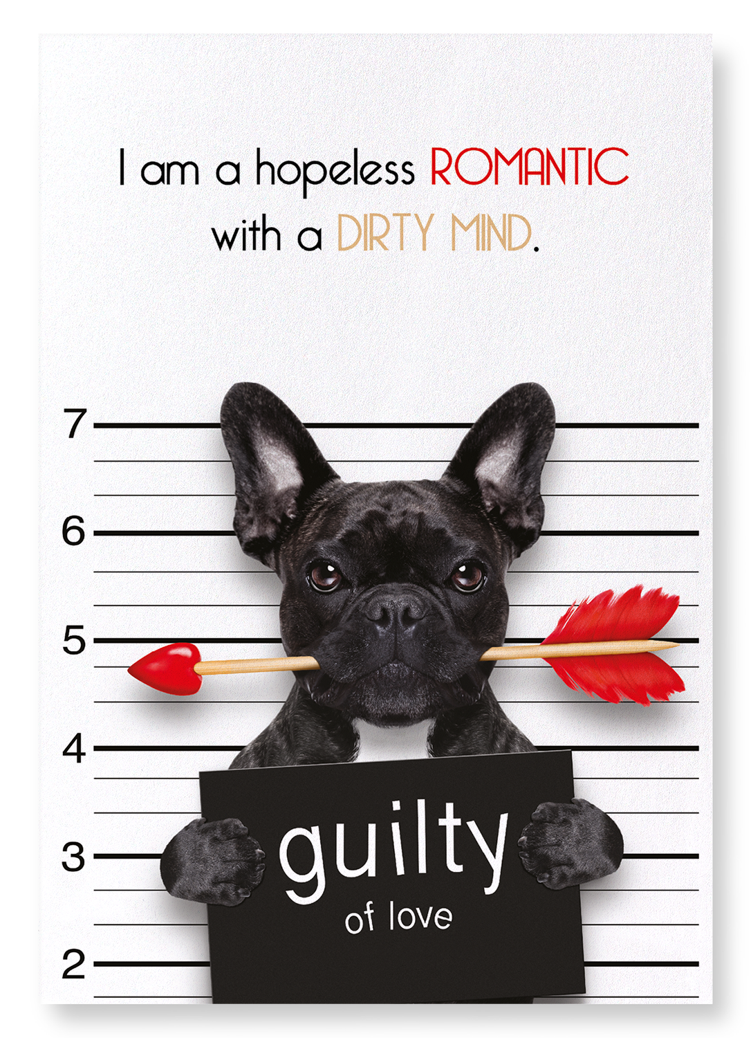 HOPELESS ROMANTIC: Funny Animal Art Print