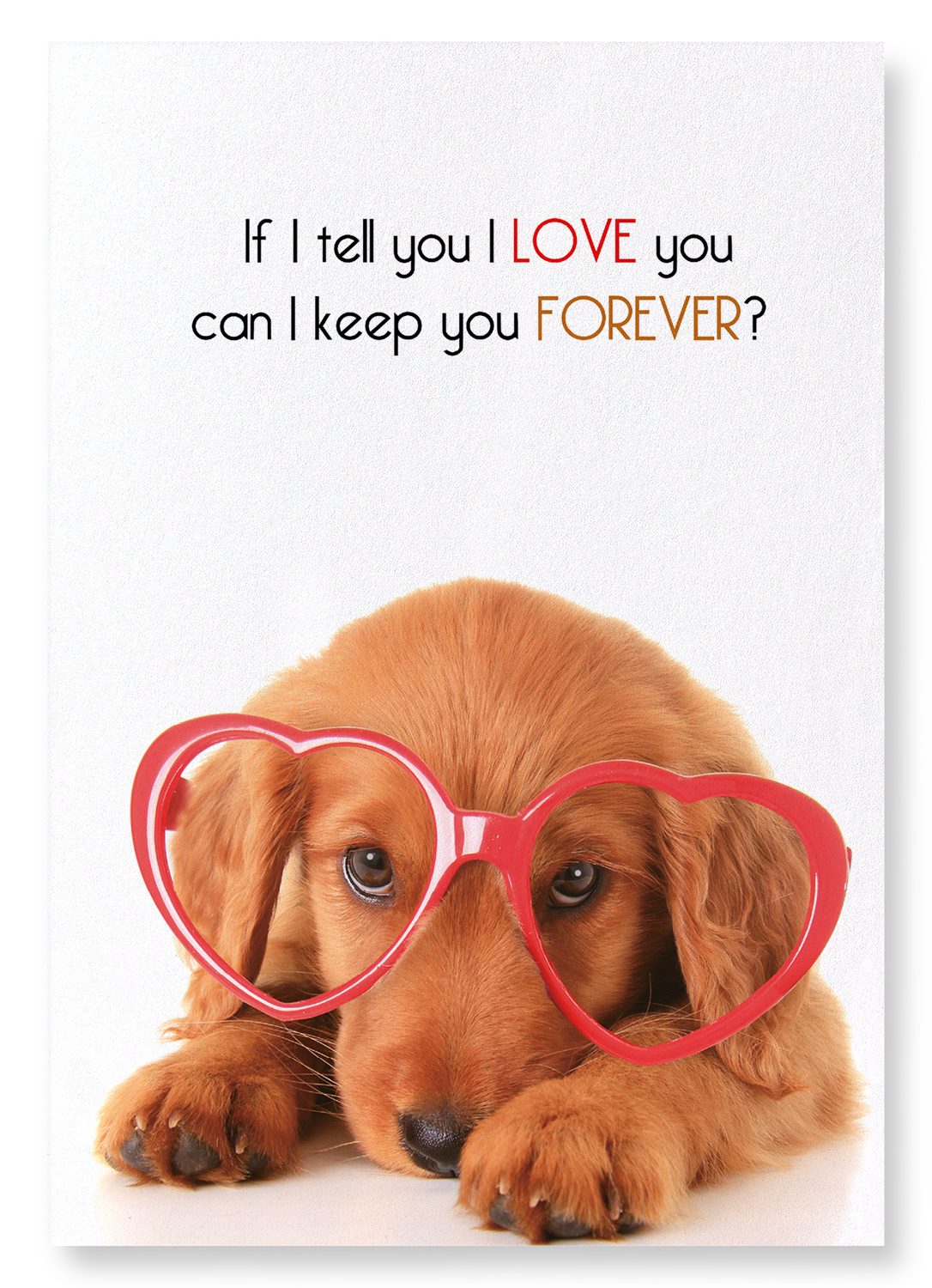 KEEP YOU FOREVER: Funny Animal Art Print